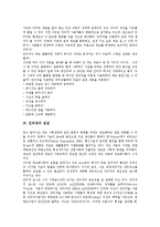 [인터넷] 인터넷의 역사, 철학, 성장과 인터넷 이용현황, 문제점, 유의점 및 향후 인터넷관련 정책 과제, 방향, 대안 분석-4