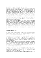 [인터넷] 인터넷의 역사, 철학, 성장과 인터넷 이용현황, 문제점, 유의점 및 향후 인터넷관련 정책 과제, 방향, 대안 분석-5