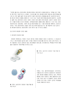 [경영과의사결정] [경영]디자인경영-휴대폰 디자인 동향 분석(A+리포트)-8