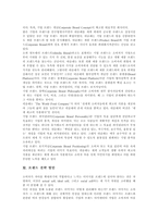 [브랜드] 브랜드의 역사, 역할, 기능과 브랜드관리, 브랜드자산 및 브랜드전략 방안, 브랜드의 세계화 추진 방안 분석(사례 중심)-15