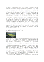 [예체능] 테니스에 관하여(역사,그랜드슬램,기술,경기규칙)-5