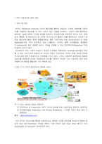 [e비즈니스] [e비즈니스]IPTV산업의개요와IPTV서비스시장전망(A+리포트)-2