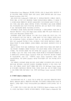[미국금융위기]미국발 금융위기의 전망과 대책-9
