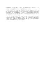 [국제경영학] [국제경영학]중국경제의 고성장과 한국의 대응방안(A+리포트)-5