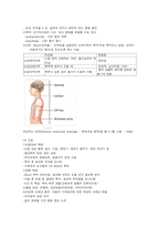 [간호학] 신경외과- 두개내 손상, 뇌수종(수두증), 척수손상-4