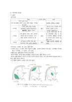 [간호학] 신경외과- 두개내 손상, 뇌수종(수두증), 척수손상-5
