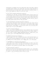 [사회심리] 다중지능이론-3