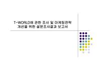 [마케팅론] SK텔레콤 T-WORLD 마케팅전략-1