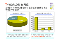 [마케팅론] SK텔레콤 T-WORLD 마케팅전략-9