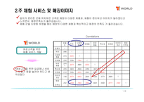 [마케팅론] SK텔레콤의 T-WORLD의 마케팅 전략/조사-11