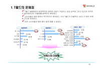 [마케팅론] SK텔레콤의 T-WORLD의 마케팅 전략/조사-18