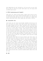 [가상공동체] 가상공동체의 발전, 유형, 특성과 가상공동체의 효과 및 가상공동체의 미래 분석(미국과 한국의 가상공동체 사례)-9