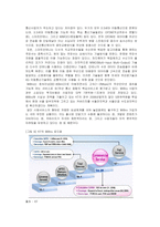[e비즈니스] [e비즈니스] 차세대통신서비스의 등장에 따른 통신업 산업전망(A+리포트)-7