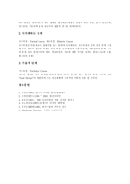 [디자인] 디자인의 개념, 원리, 조건과 디자인의 기능, 의사결정 및 디자인의 과정에 관한 분석-8