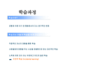 [소비자행동론] 학습과 기억-3