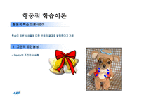 [소비자행동론] 학습과 기억-6
