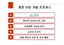 [국제경영] 한국기업의 중국현지화 전략 -브랜드 네이밍을 중심으로-4