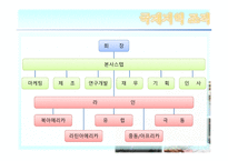 [경영조직론] 기업의 세계화와 조직-14
