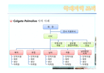 [경영조직론] 기업의 세계화와 조직-16