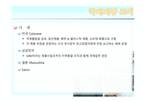 [경영조직론] 기업의 세계화와 조직-19