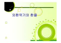 [국제금융론] 외환위기와 환율-1
