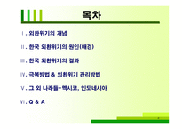 [국제금융론] 외환위기와 환율-2
