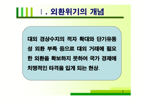 [국제금융론] 외환위기와 환율-3