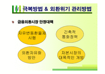 [국제금융론] 외환위기와 환율-10