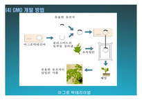 한미FTA와 GMO 레포트-10