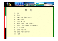 [국제경영] 해외진출전략(드래곤 힐 스파 UAE -두바이 진출)-2