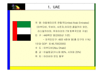 [국제경영] 해외진출전략(드래곤 힐 스파 UAE -두바이 진출)-3