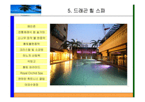 [국제경영] 해외진출전략(드래곤 힐 스파 UAE -두바이 진출)-9