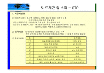 [국제경영] 해외진출전략(드래곤 힐 스파 UAE -두바이 진출)-10