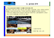 [국제경영] 해외진출전략(드래곤 힐 스파 UAE -두바이 진출)-17