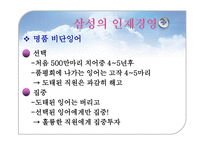 [인적자원관리] 삼성, 하이얼, 샤프 인적경영-3