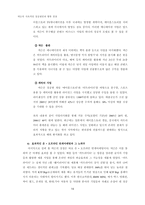 [경영학] 넥슨 지속적인 성공 요인 분석과 향후 성장 전략-15