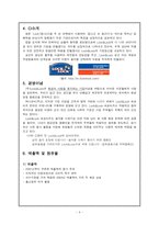 [국제마케팅] 락앤락(Lock&Lock) 해외진출성공사례-4