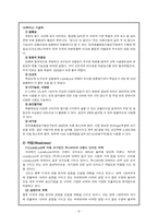 [국제마케팅] 락앤락(Lock&Lock) 해외진출성공사례-8