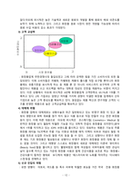 [경영학원론] 구조조정을 통해 성공한 기업사례 -`태평양(아모레퍼시픽)`의 사례-12
