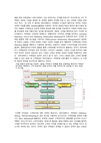 [경영정보] CRM(고객관계관리)-3