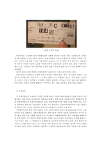[마케팅] 도요타자동차 마케팅전략-9