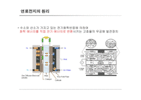 [대체에너지] Fuel Cell System-8