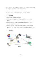 [사업계획서] 3D 가상 체험 의류 인터넷 쇼핑몰 사업계획서-10