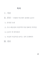 케이블방송 CATV의 영향력-8