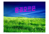 환경호르몬 레포트-1