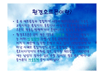 환경호르몬 레포트-3