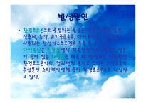 환경호르몬 레포트-4