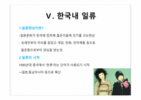 [일본사회] 한류와 혐한류-19