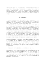 뉴스보도 언어 -2003 이라크 전쟁과 2008 티베트 사건 사례조사를 중심으로-5