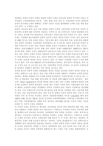 [장애인차별, 장애인인권] 장애와 차별의 개념, 장애인 인권보장의 원리, 장애인 고용차별과 임금차별, 차별금지규제의 문제점, 향후 장애인차별 예방을 위한 과제 분석-8
